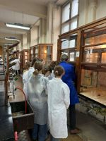 11e23905-8df8-43dd-be82-3e0dea5c330b