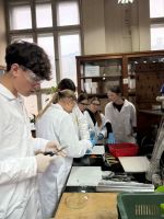 7addd7e7-0ea9-4baf-9a2d-af8aa7b91c2d