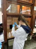 8b011e52-4f4c-4e4c-938a-5faef6f4c839