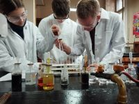 3b2cd382-55cf-42b9-88b7-bd37bd0374f4_1