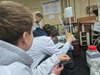 5d304fb8-e00d-485d-9a7c-8edde01f9674