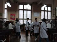 786b3983-1fab-43c9-ab01-bcb9b9d5099d