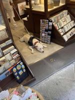 IMG-20251012-WA0179